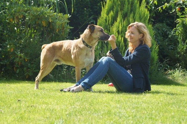 Бездомный пес долгое время ждал Оливию Сиверс, пока она не забрала его к себе