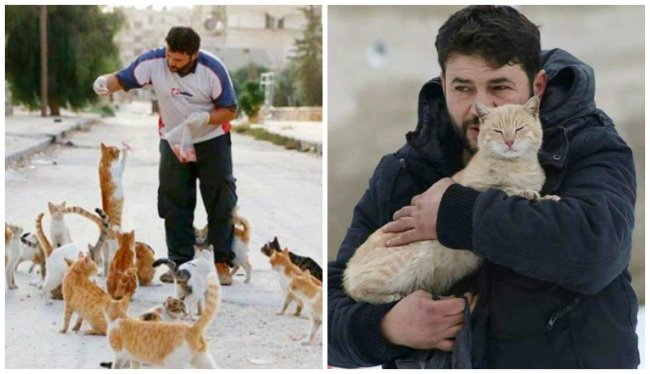 Ала Джалил остался в Алеппо, чтобы кормить кошек, после того, как все жители его покинули